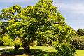 2018_05_26_arboretum de Balaine (0009)